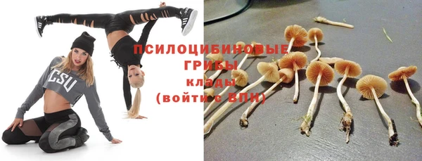 ешки Алзамай